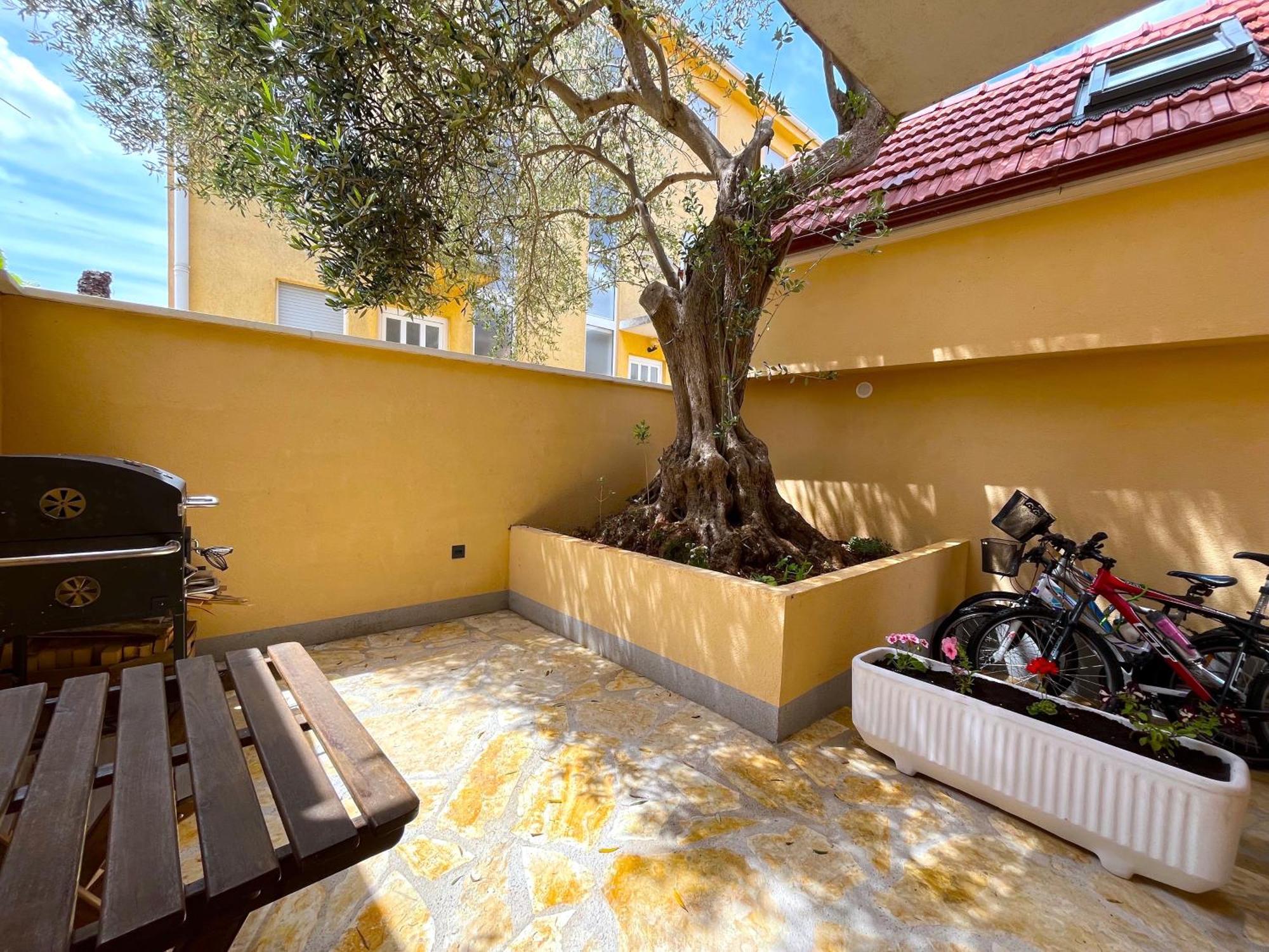 Olive Tree Apartment Stari Grad  Exterior photo